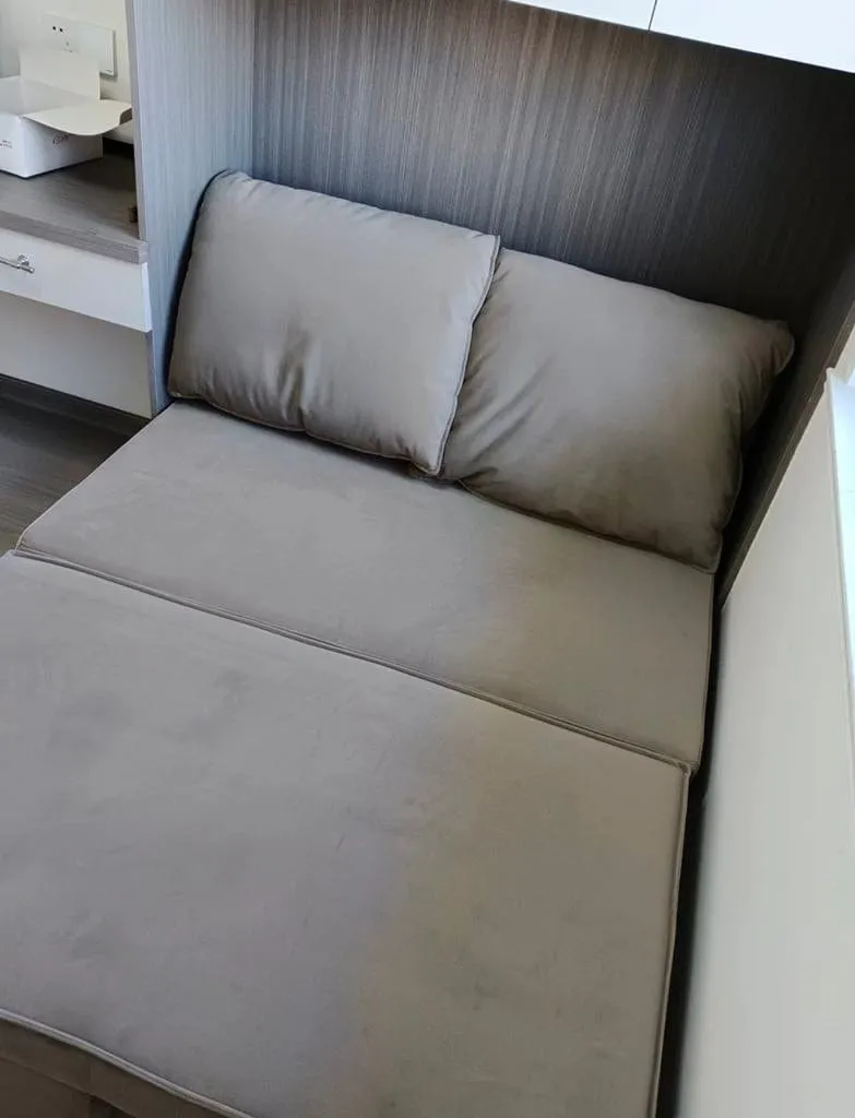 Ariella Scratch Resistant Sofa Bed