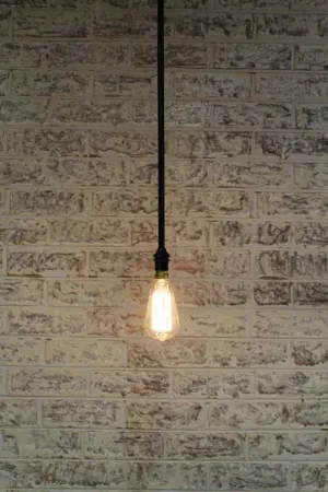 Bare Pole Pendant - B22 Lamp Holder