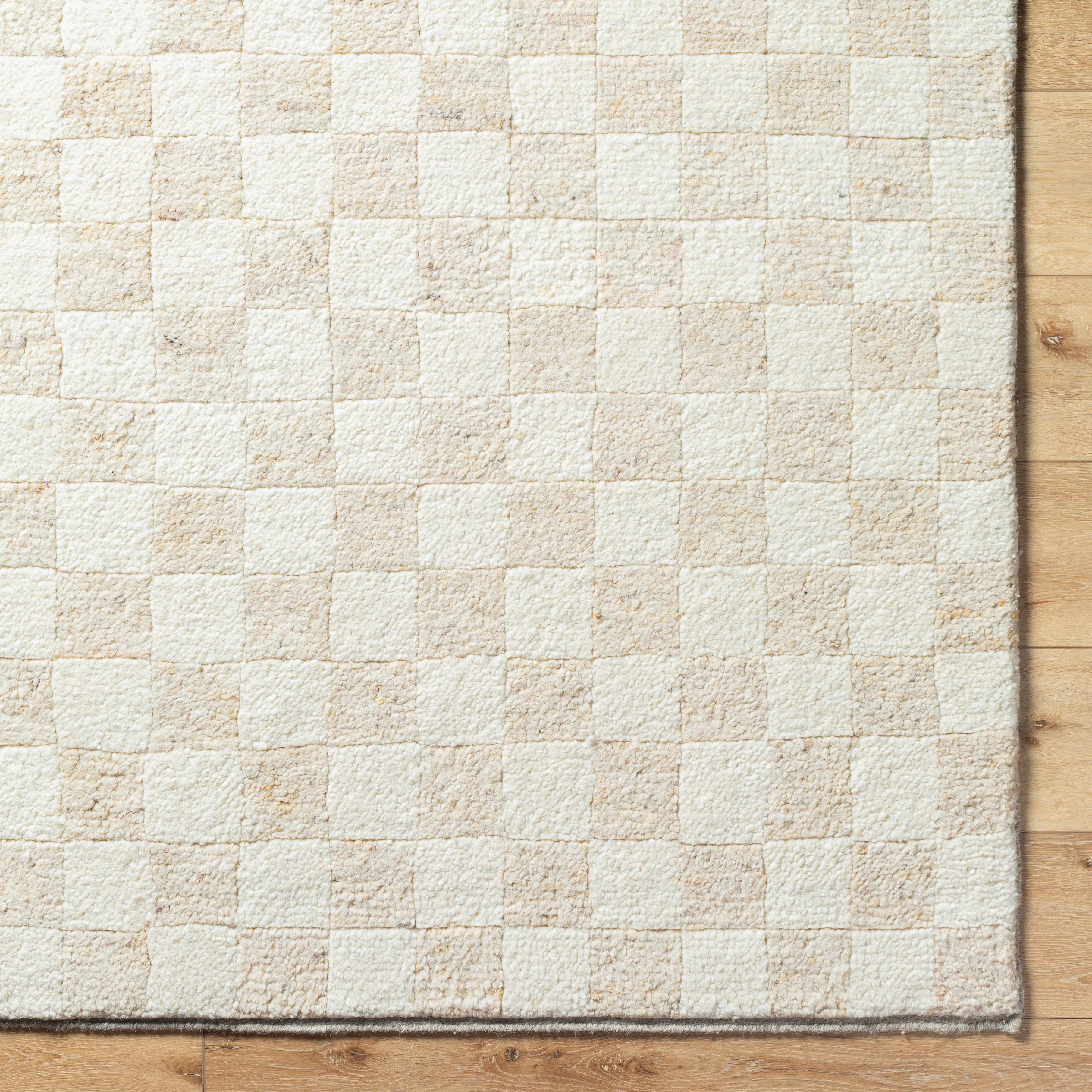 Becki Owens Davey Checkered Rug