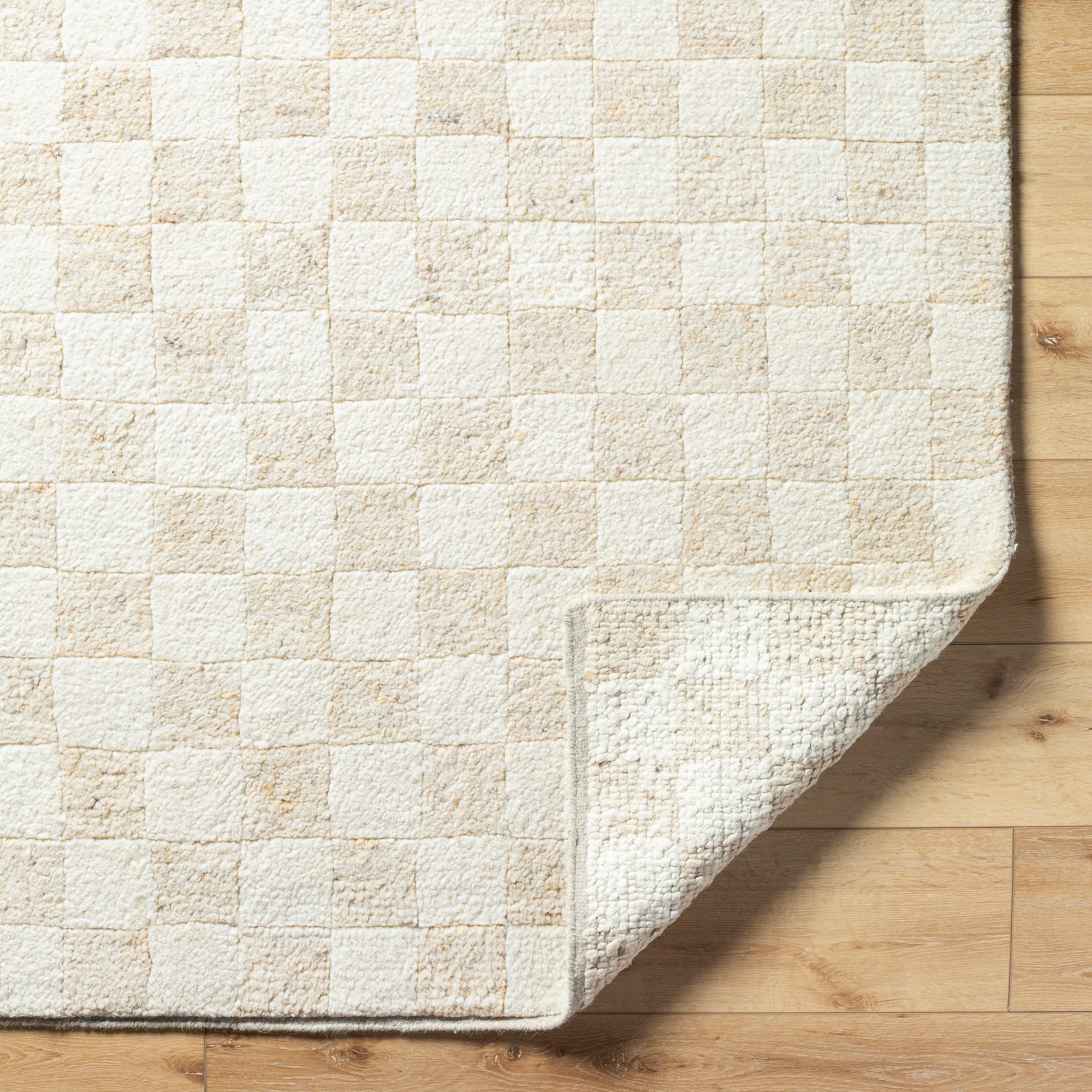 Becki Owens Davey Checkered Rug