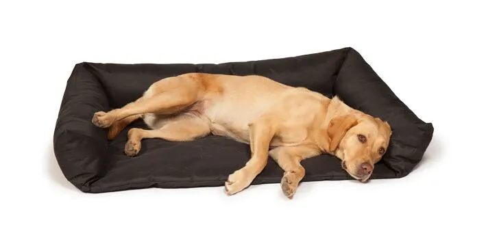 Car Boot Dog Bed by Danish Design