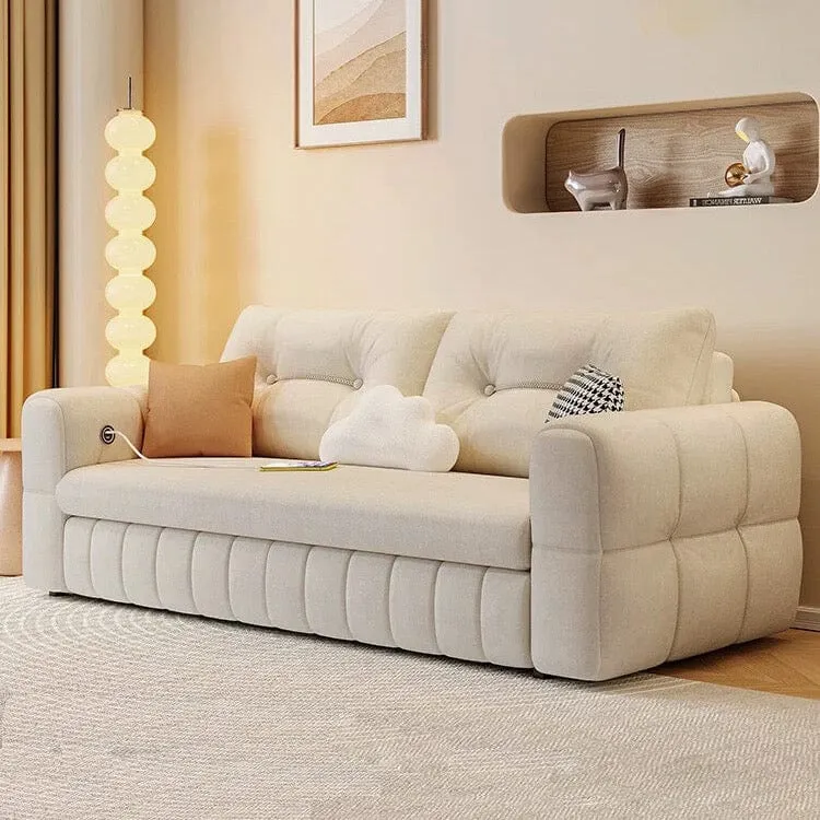 Gary Scratch Resistant Storage Sofa Bed