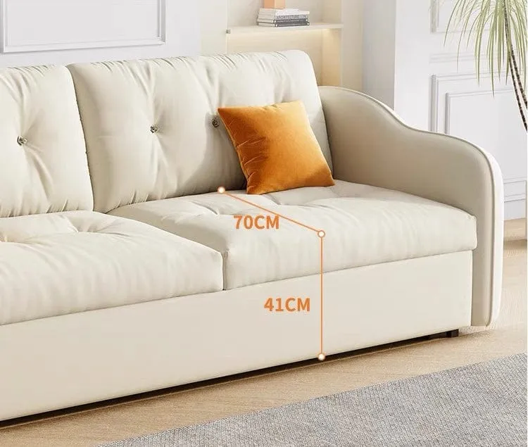 Magdeline Storage Sofa Bed