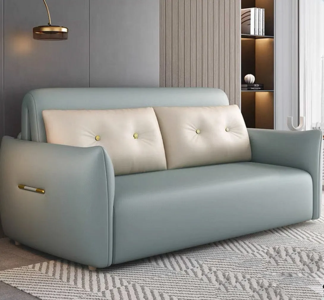 Miller Electric Sofa Bed