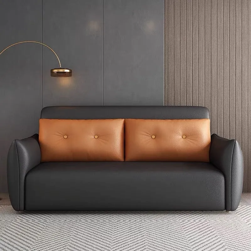 Miller Electric Sofa Bed