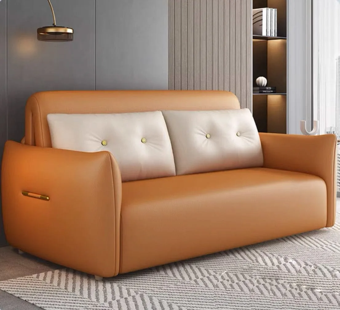 Miller Electric Sofa Bed