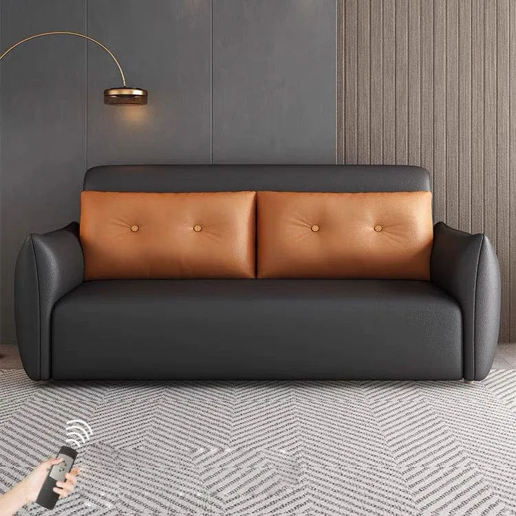 Miller Electric Sofa Bed
