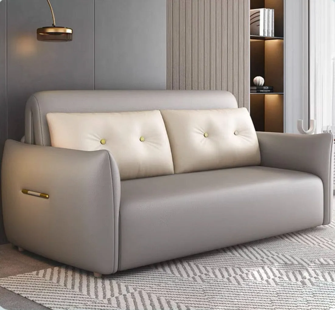 Miller Electric Sofa Bed