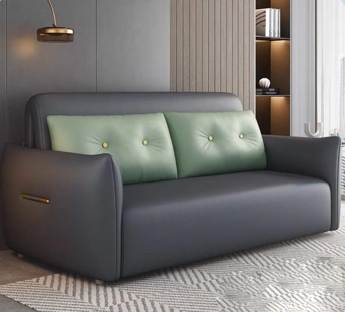 Miller Electric Sofa Bed