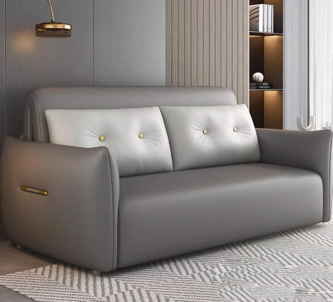 Miller Electric Sofa Bed