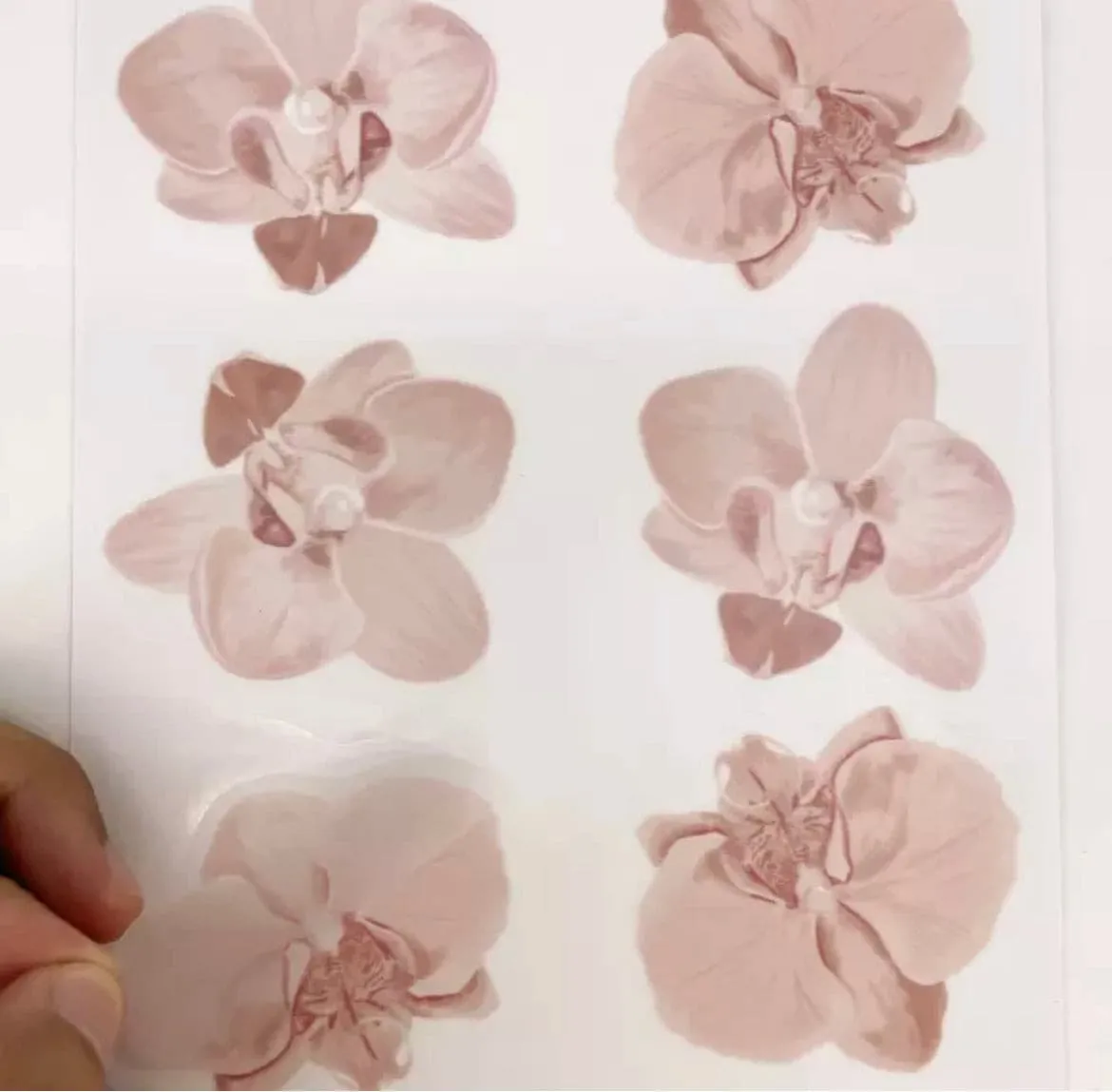 Nursery Wall Decals - Pink Floral