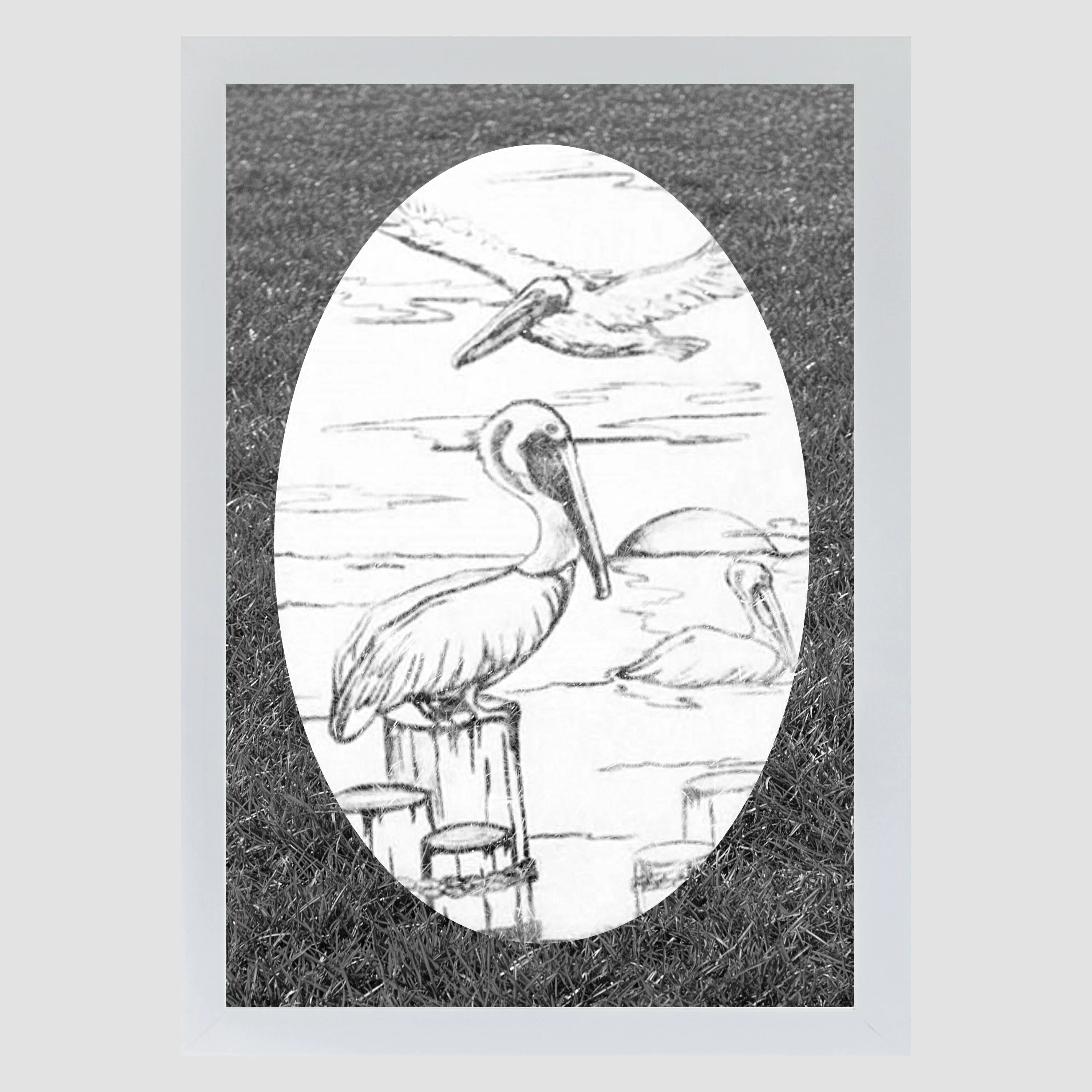 Oval Pelican Etched Glass Decals | (Static Cling)