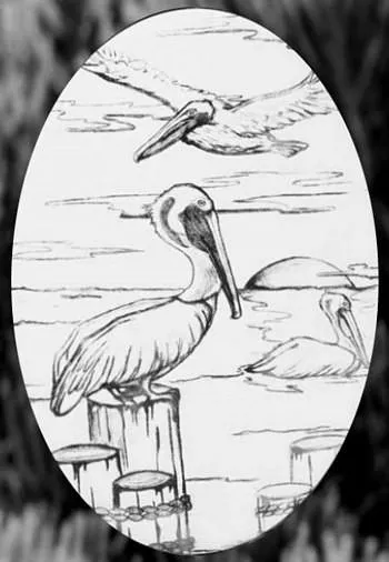Oval Pelican Etched Glass Decals | (Static Cling)