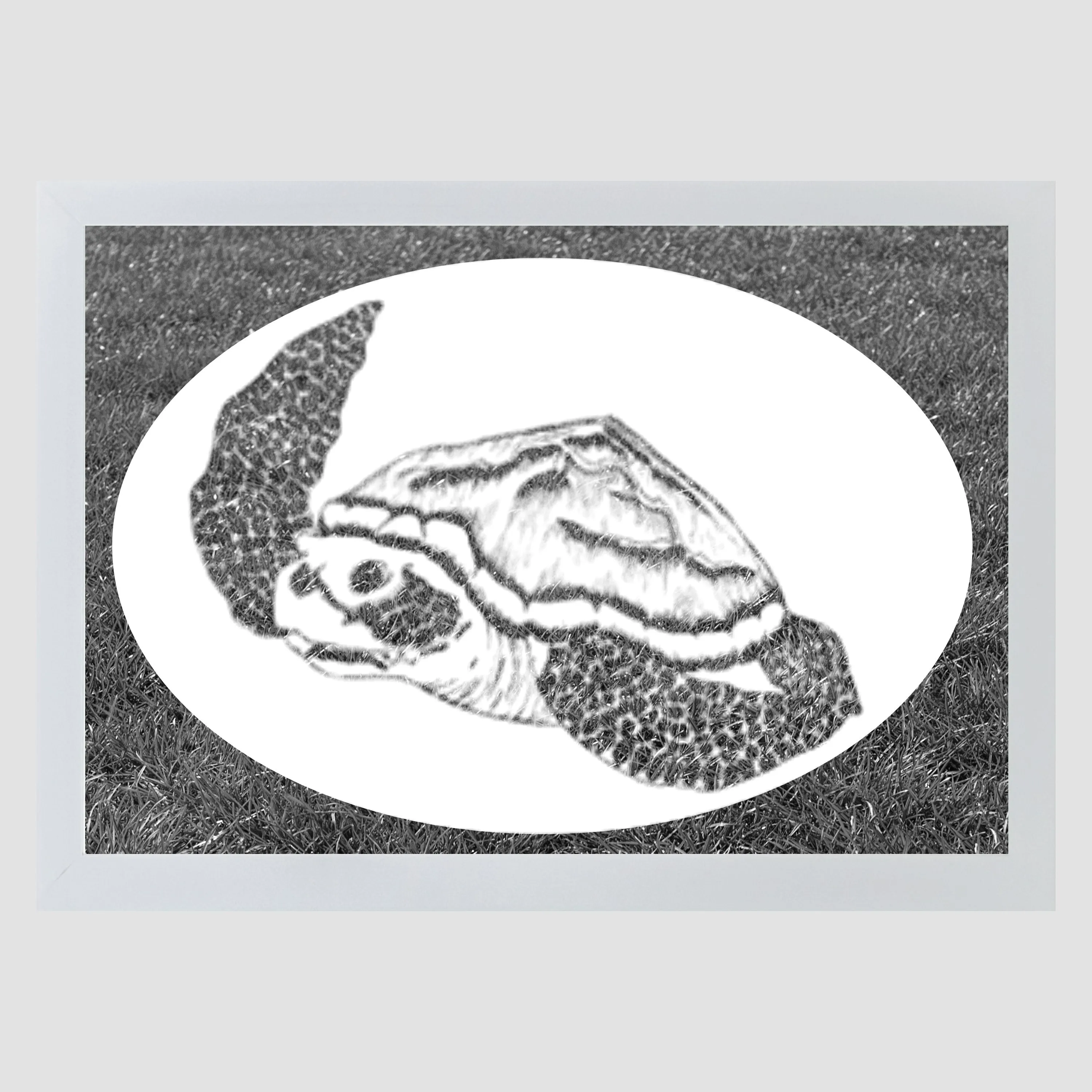 Oval Sea Turtle  | (Static Cling )
