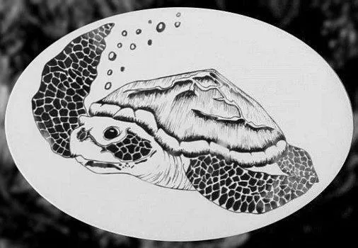 Oval Sea Turtle  | (Static Cling )