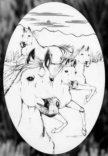 Oval Wild Horses Etched Decals - Static Cling Frosted Glass Sticker