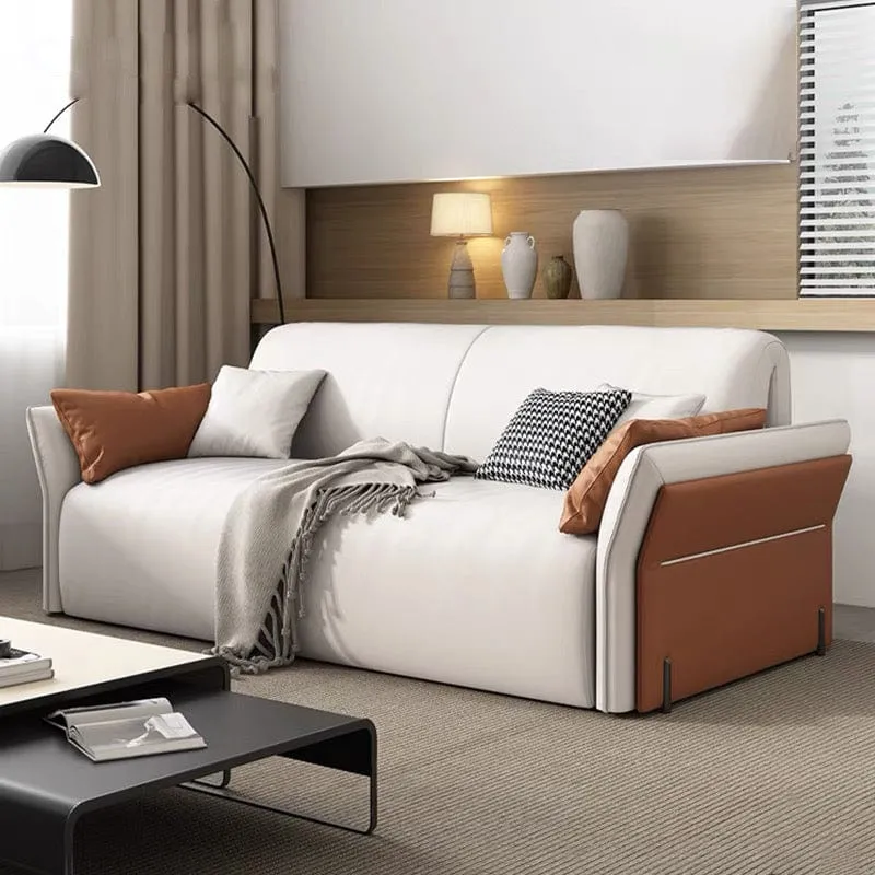Peterson Electric Sofa Bed