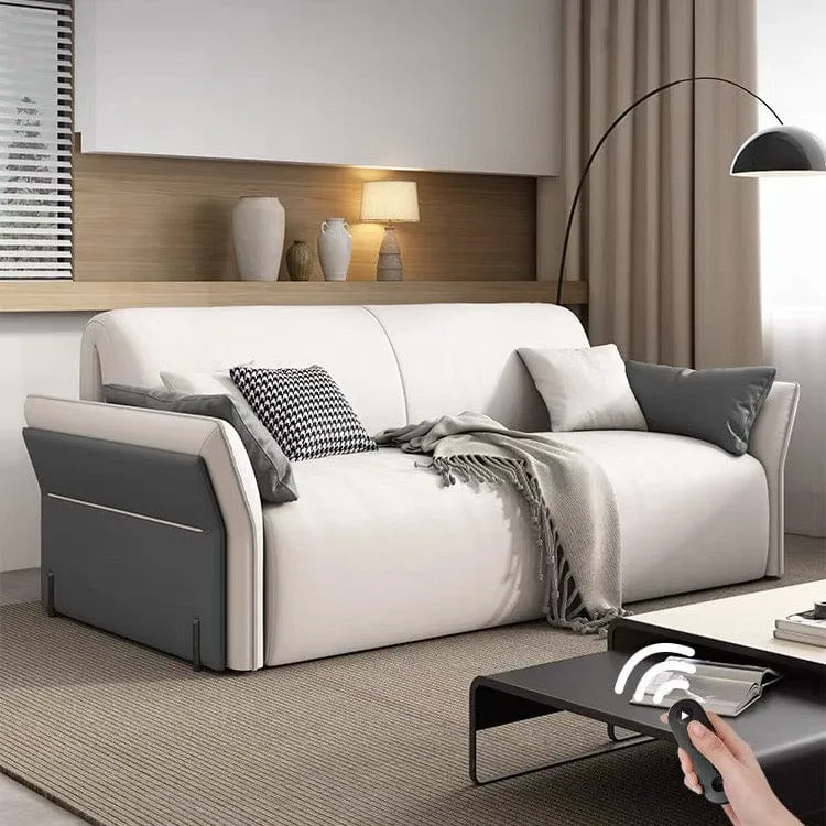 Peterson Electric Sofa Bed