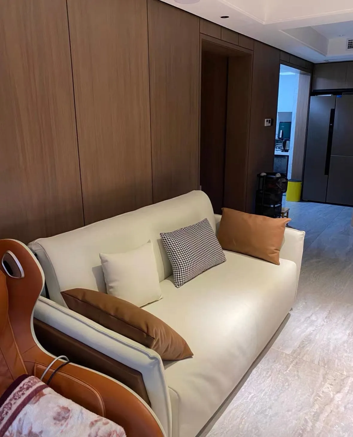 Peterson Electric Sofa Bed