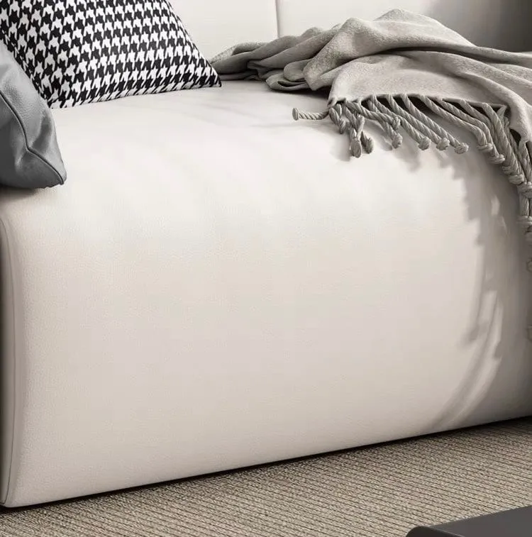 Peterson Electric Sofa Bed