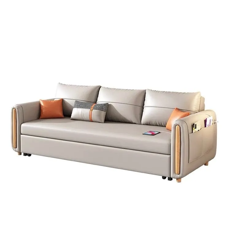 Raven Scratch Resistant Electric Sofa Bed