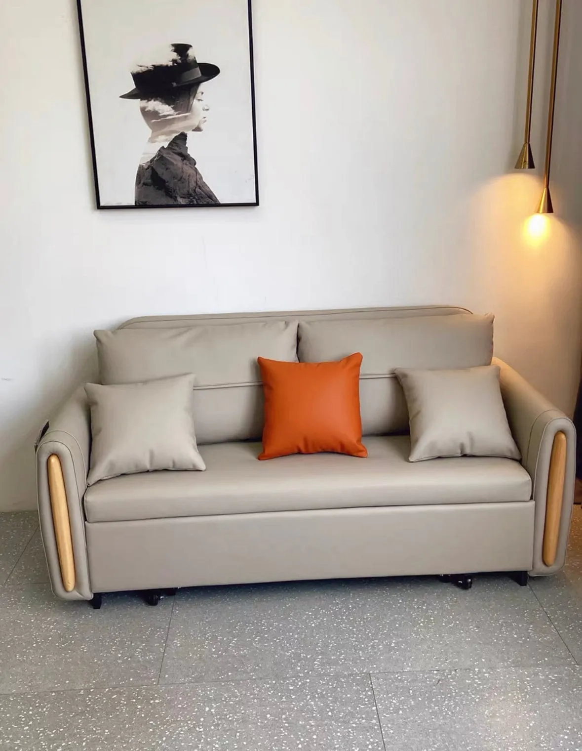 Raven Scratch Resistant Electric Sofa Bed