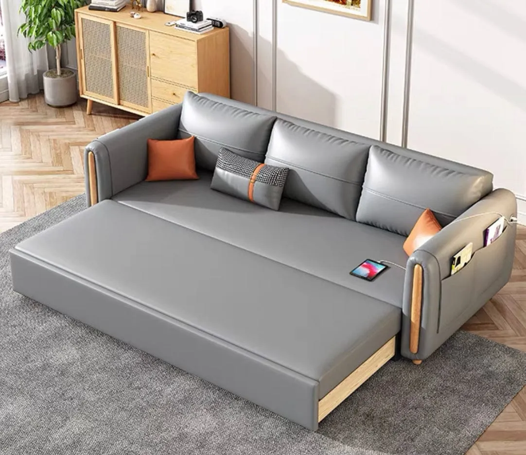 Raven Scratch Resistant Electric Sofa Bed