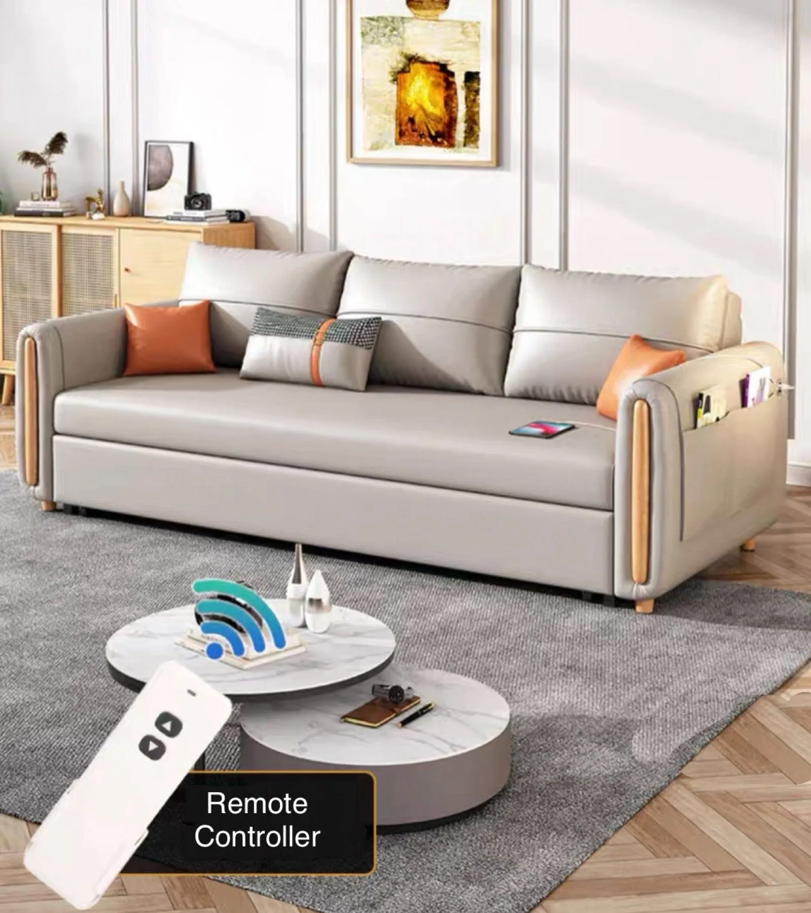 Raven Scratch Resistant Electric Sofa Bed