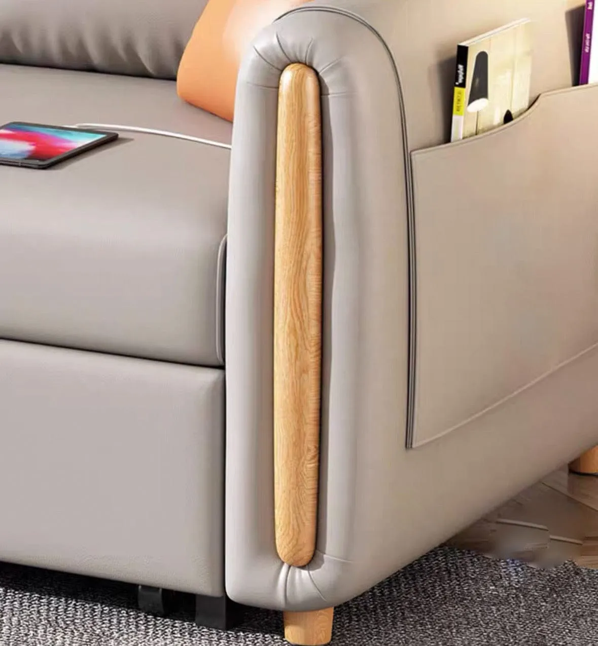 Raven Scratch Resistant Electric Sofa Bed