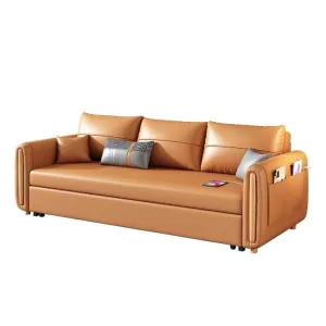Raven Scratch Resistant Electric Sofa Bed