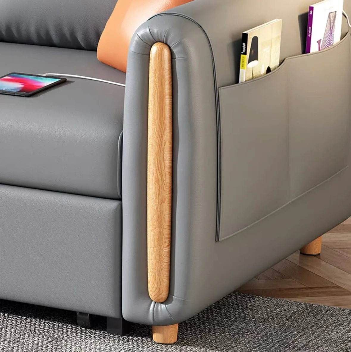 Raven Scratch Resistant Electric Sofa Bed