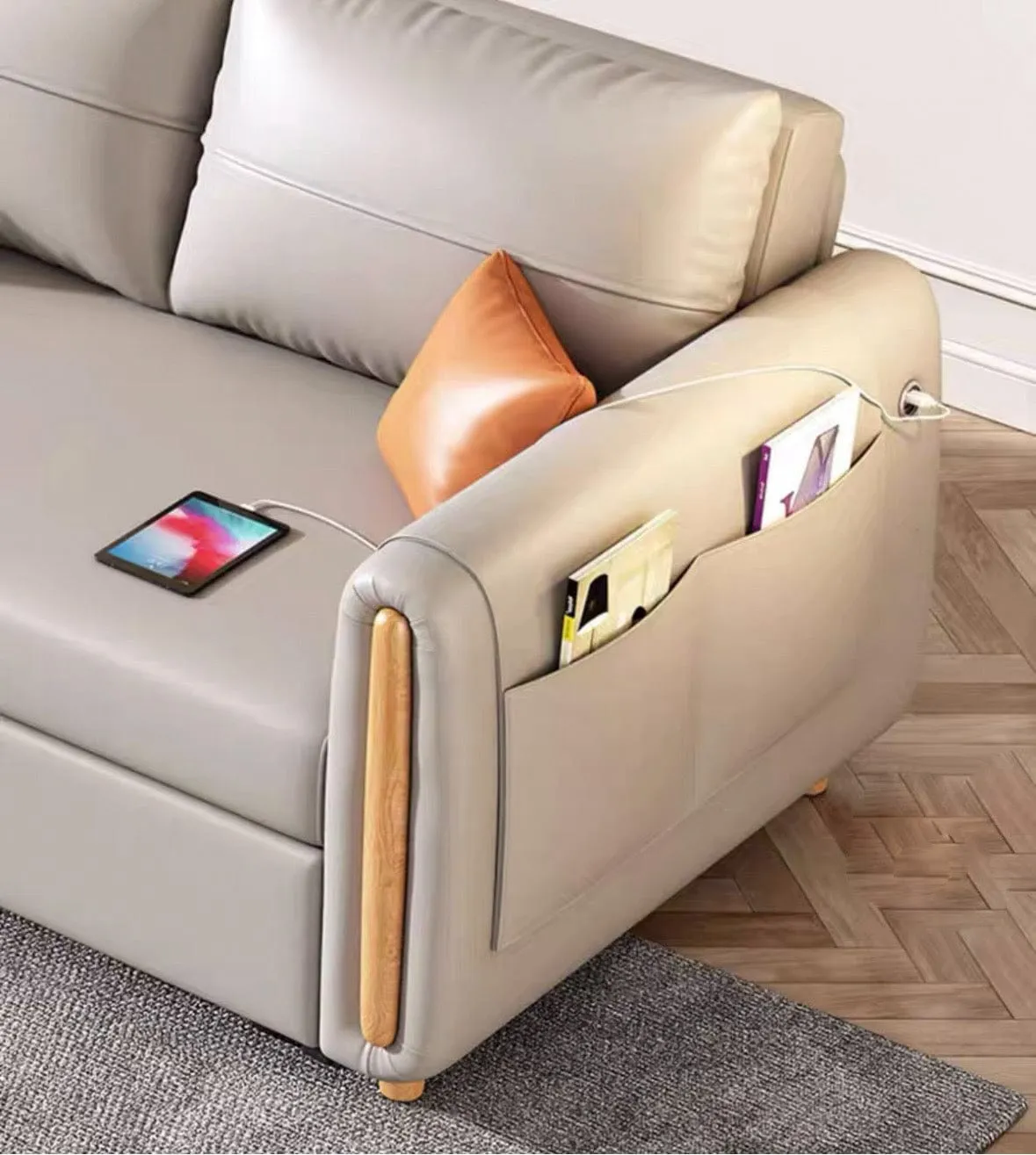 Raven Scratch Resistant Electric Sofa Bed