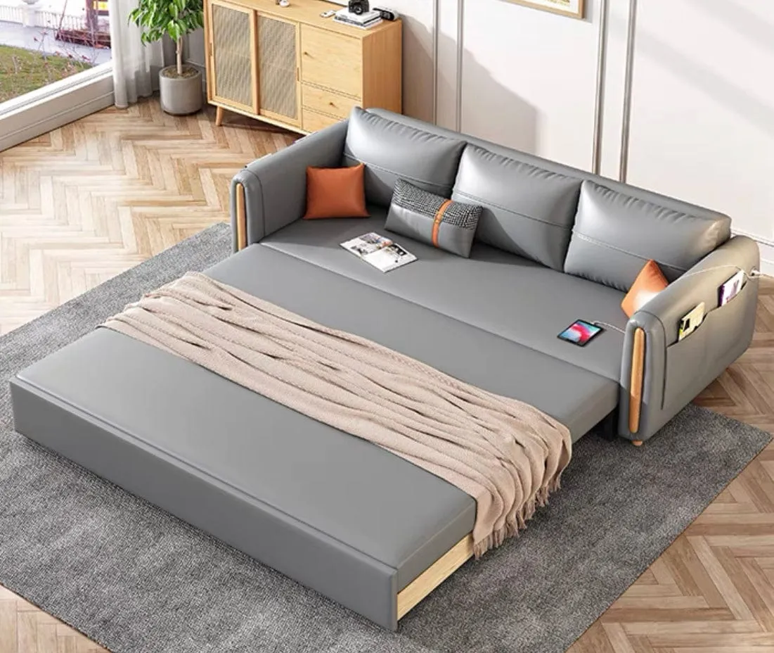Raven Scratch Resistant Electric Sofa Bed