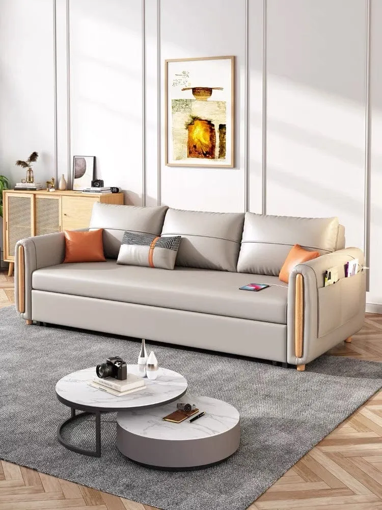 Raven Scratch Resistant Electric Sofa Bed