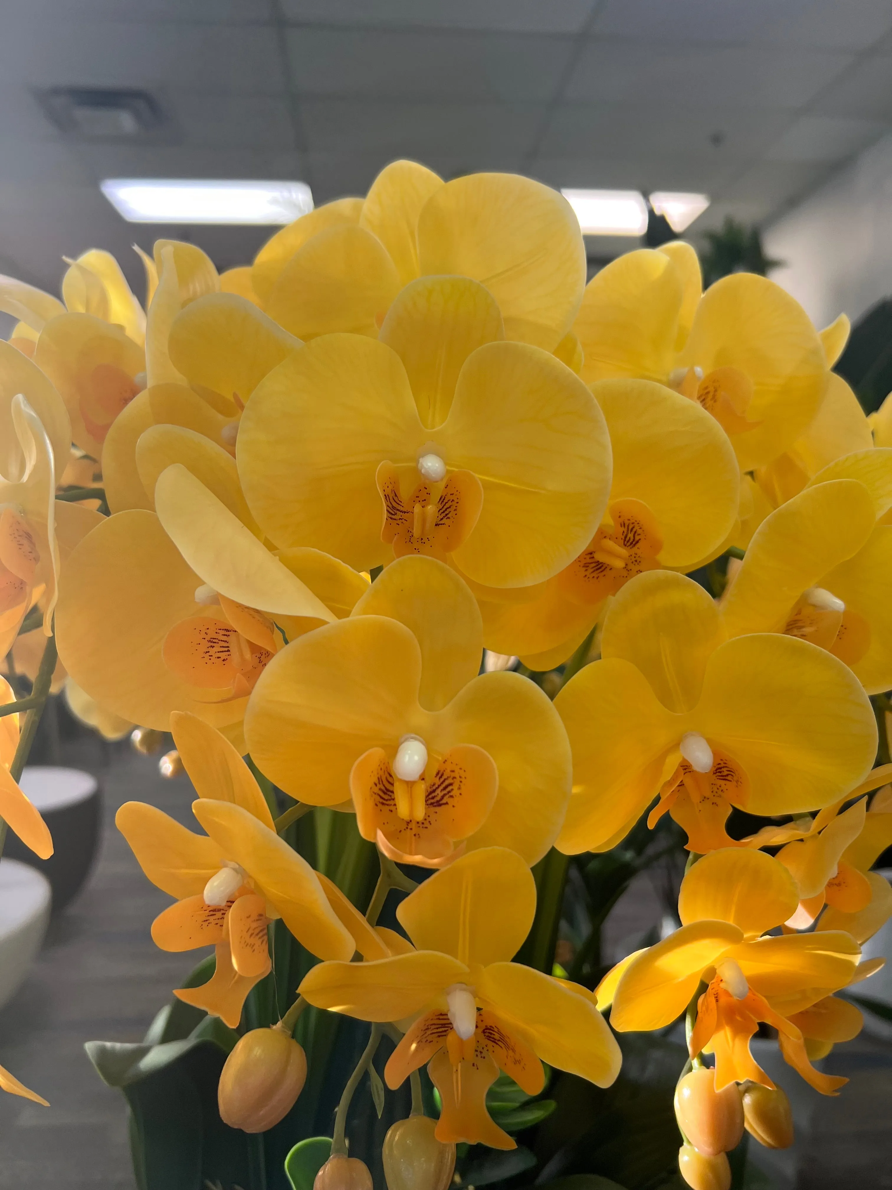 Real touch Artificial Orchid Flower Arrangement (10 stems )