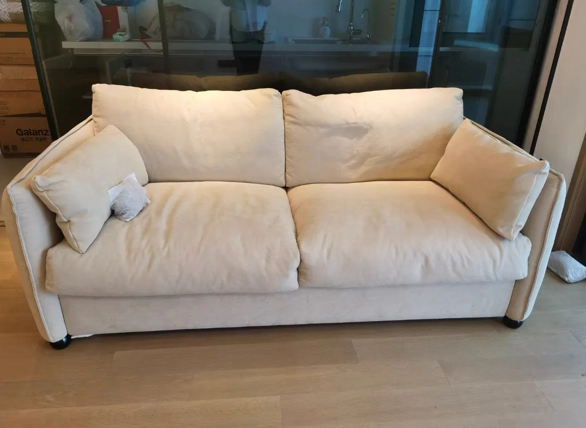 Ron Foldable Sofa Bed with Mattress